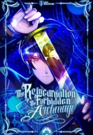 the-reincarnation-of-the-forbidden-archmage-all-chapters.jpg